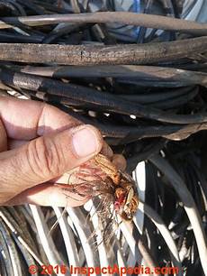 Electrical Copper Wires