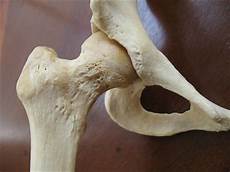 Ball Socket Joint