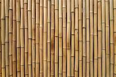 Bamboo Pole