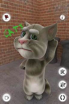 Cat 3