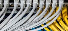 Cat 5 Cable