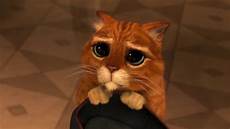 Cat 8 Cable