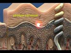 Composite Video