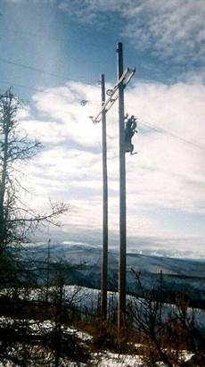 Electrical Drop Pole
