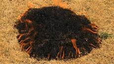 Fire Resistant Cable