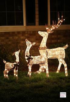 Lawn Lighting