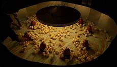 Led Lighting Turkey