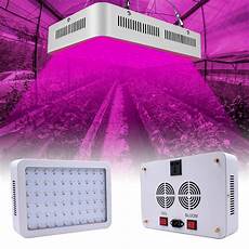 Lotus Flower Energ Saving Lamp