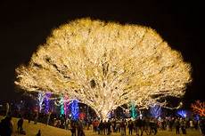 Park And Street Lighting Systems