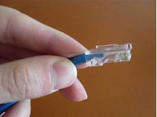 Patch Cord