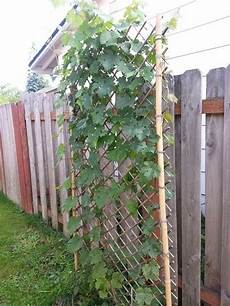 Poles And Fencing