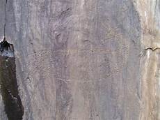 Poly Electrical Panels