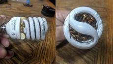 Spiral Lamps
