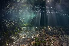 Underwater Lighting